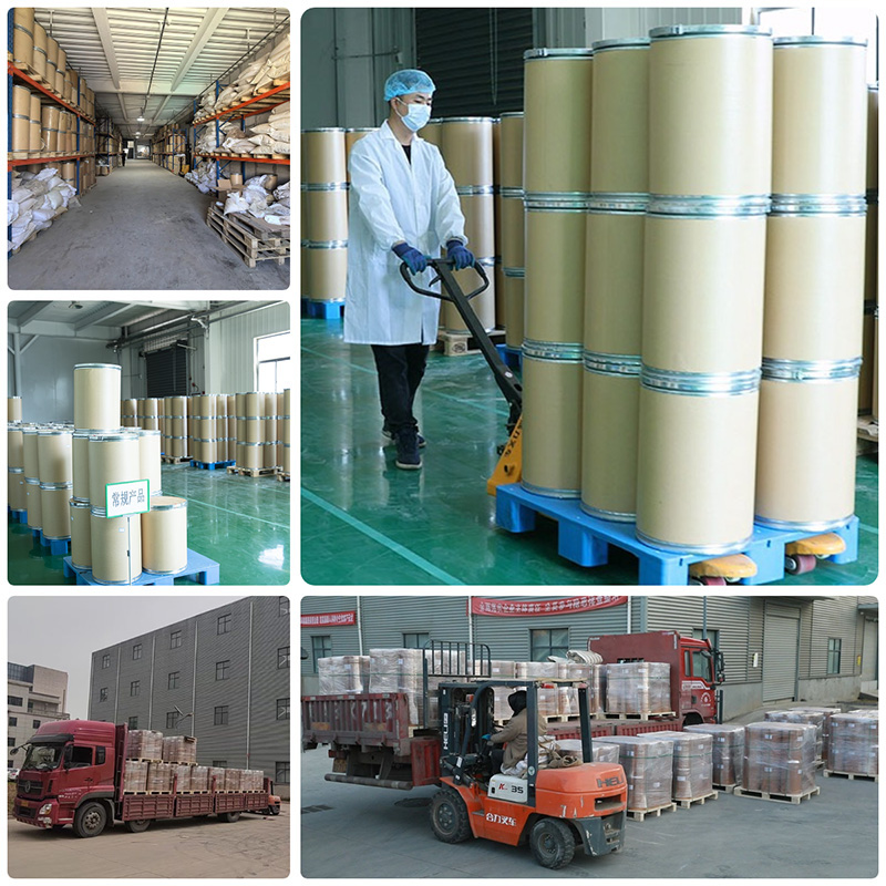 White Tomato Powder