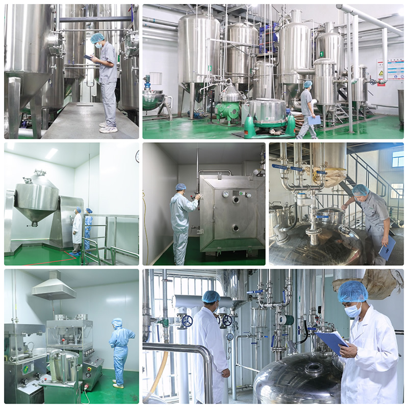 White Tomato Powder