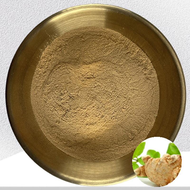 Extract of Notoginseng