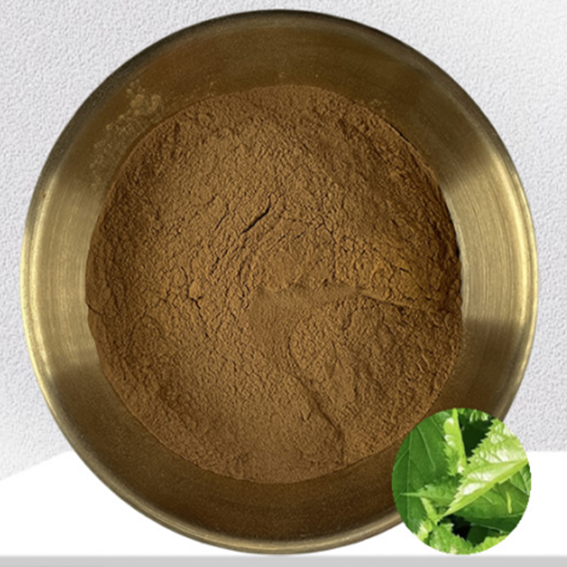MULBERRY LEAF EXTRACT