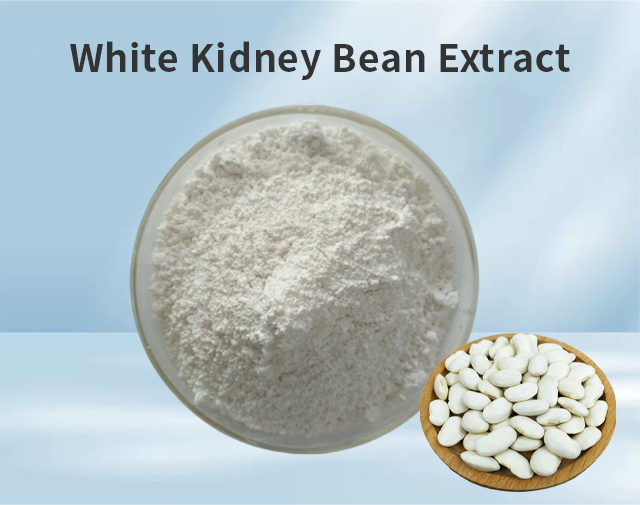 White Kidney Bean Extract
