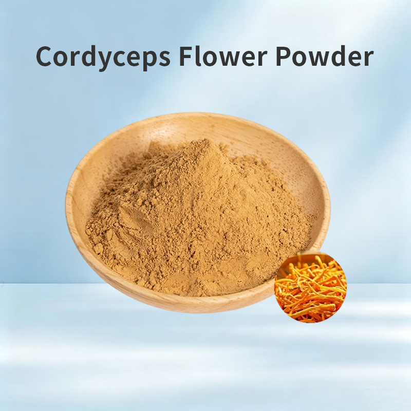 Cordyceps Flower Powder