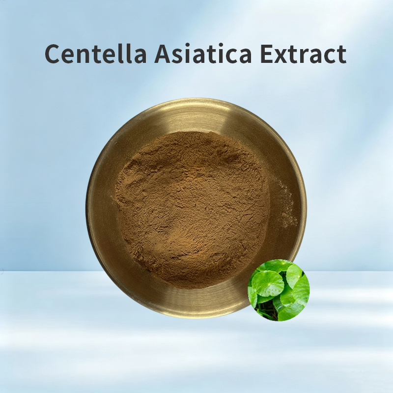 Centella Asiatica Extract