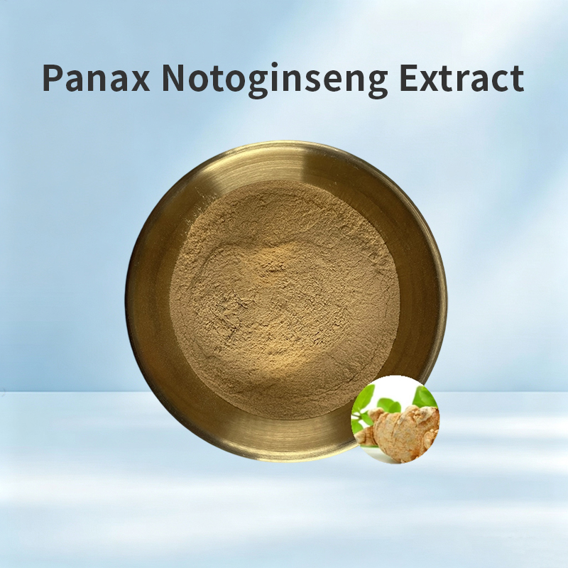 Panax Notoginseng Extract