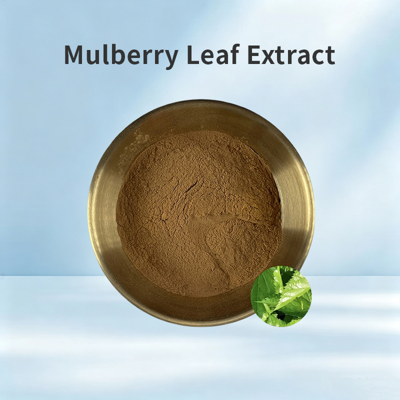 Mulberry Leaf Extract