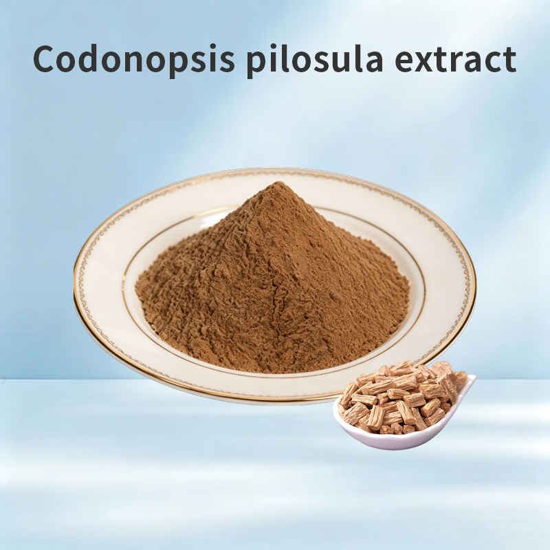 Codonopsis Pilosula Extract Powder