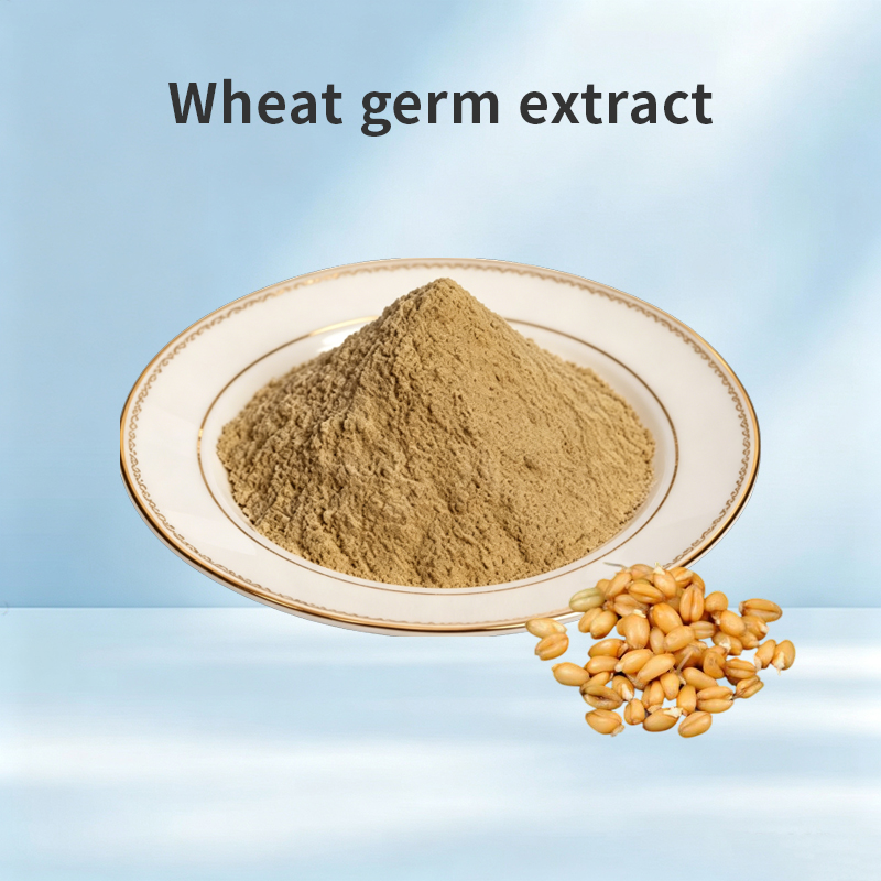 Wheat Germ Extract