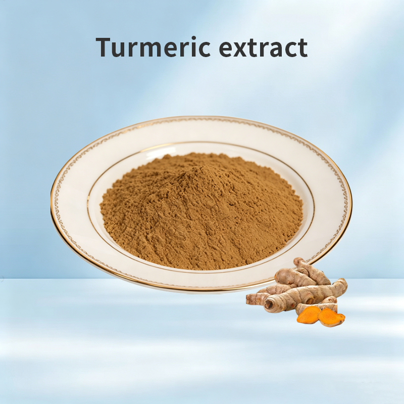Turmeric Extract