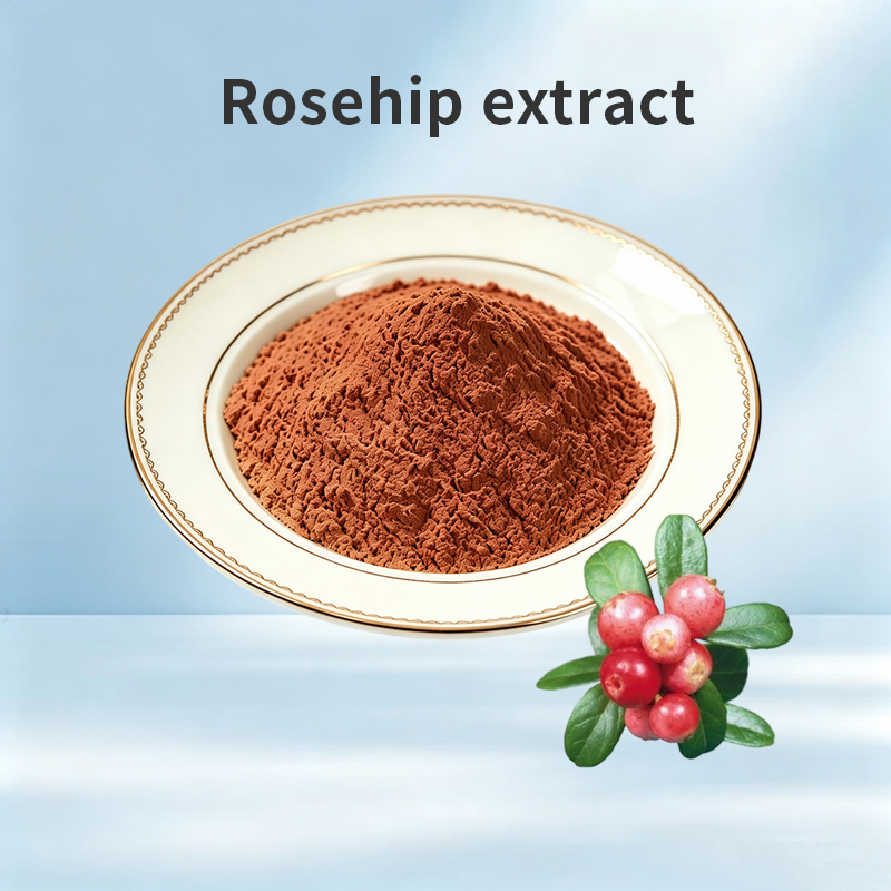 Rosehip Extract