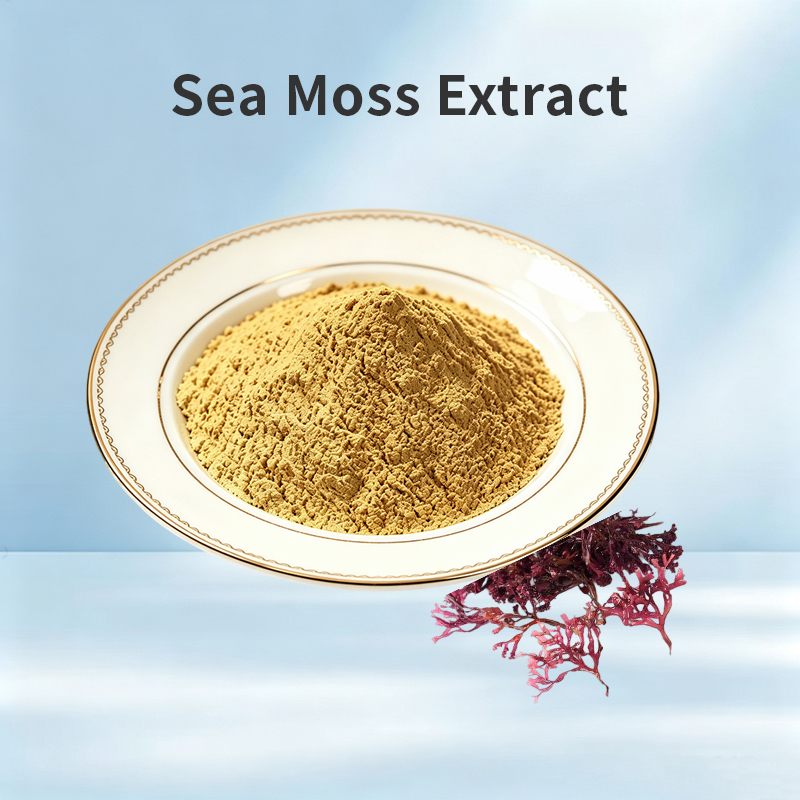 Sea Moss Extract
