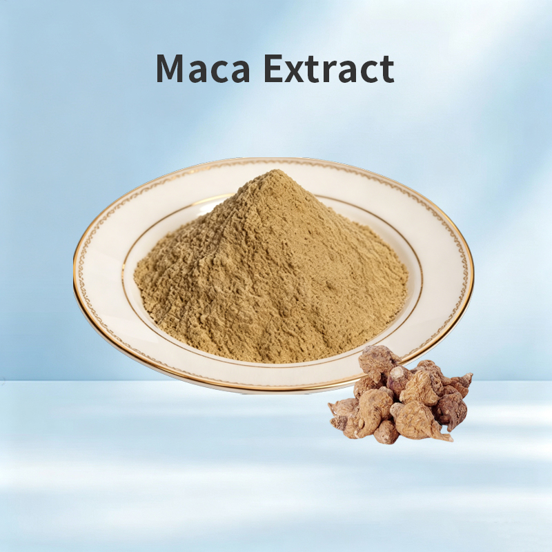 Maca Extract