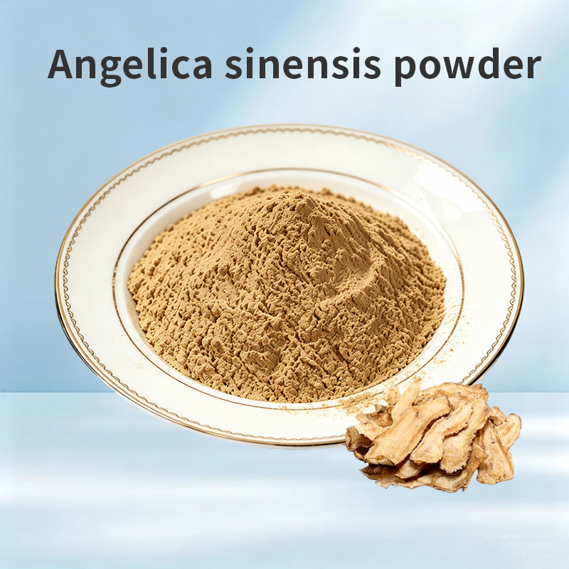 Angelica Sinensis Powder