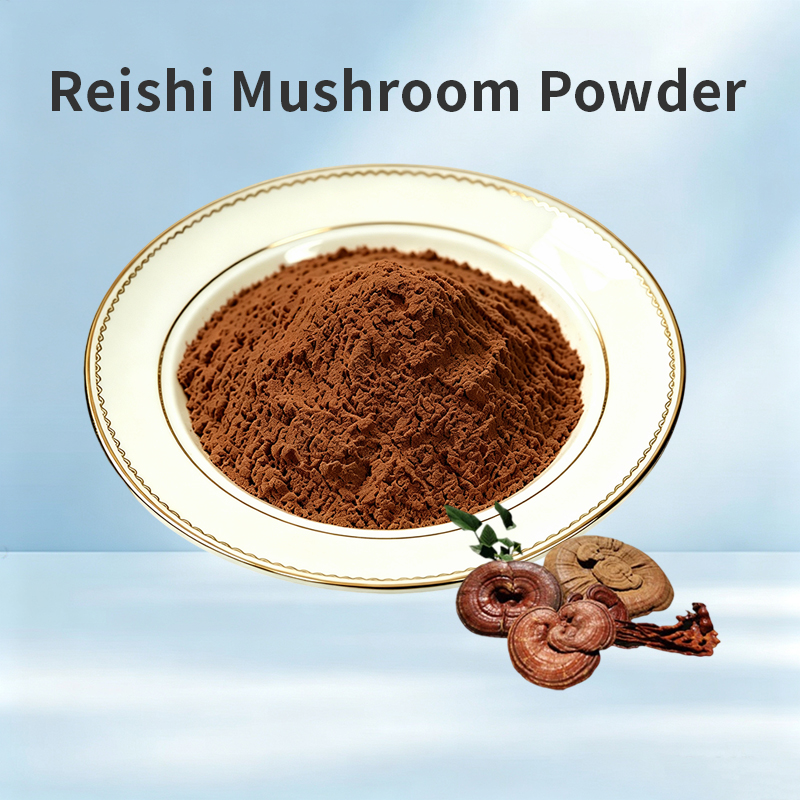 Reishi Mushroom Powder