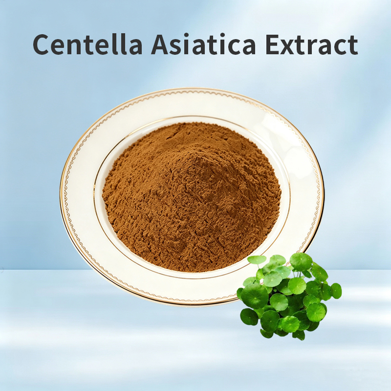 Centella Asiatica Extract