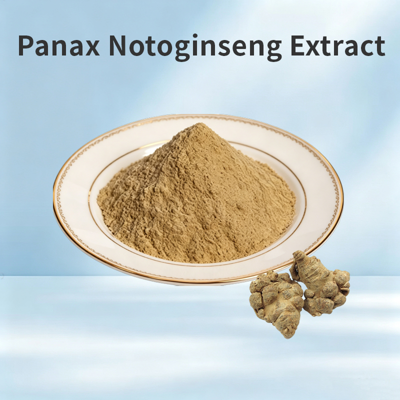 Panax Notoginseng Extract
