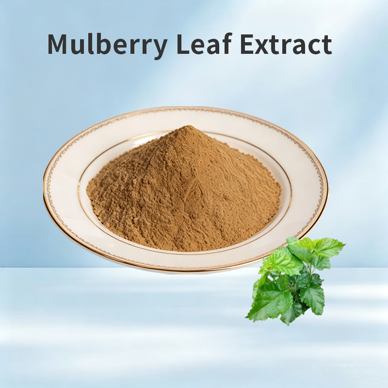 Mulberry Leaf Extract