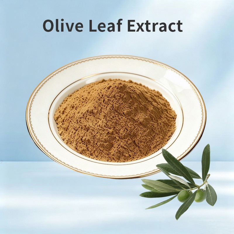 Olive Leaf Extract