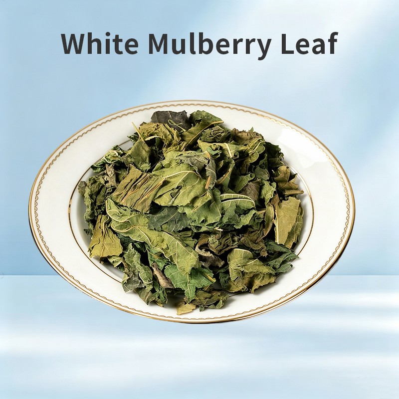 White Mulberry Leaf