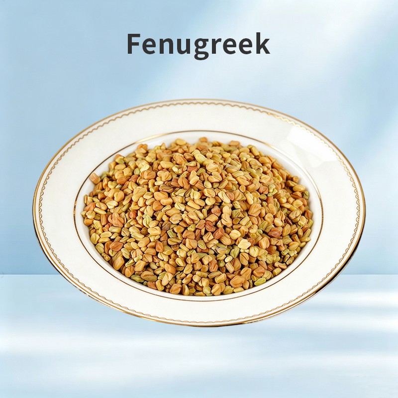 Fenugreek