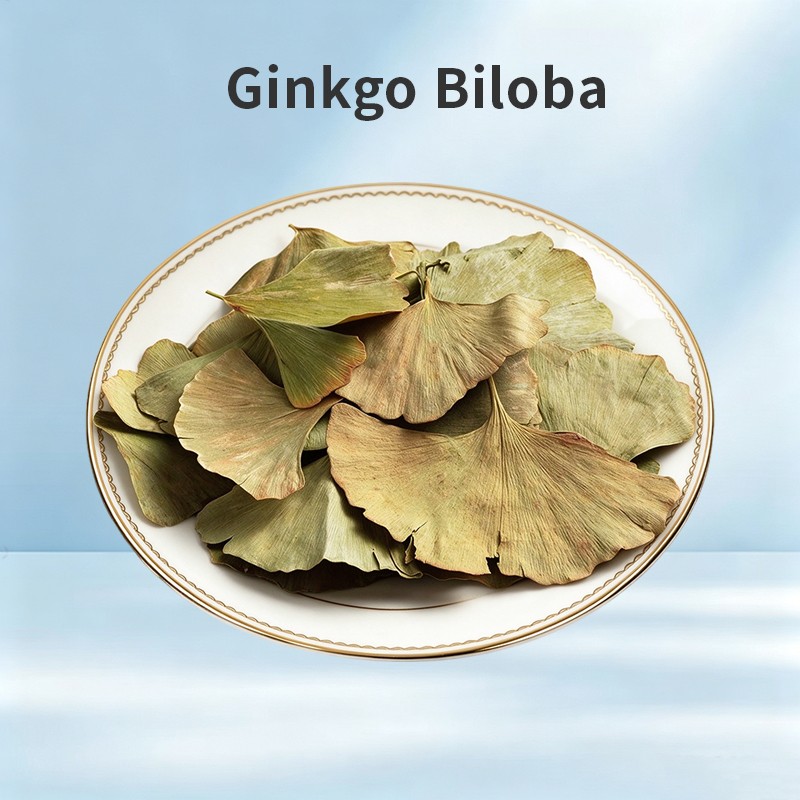 Ginkgo Biloba