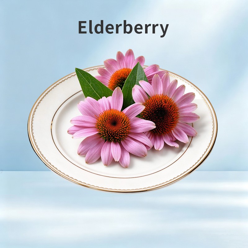 Echinacea