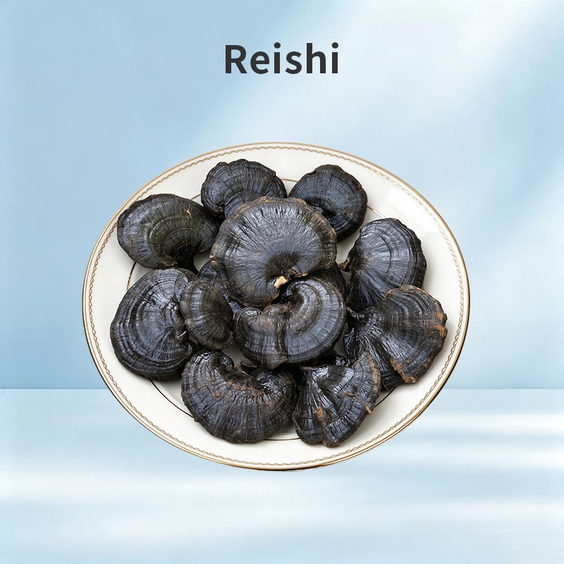 Reishi