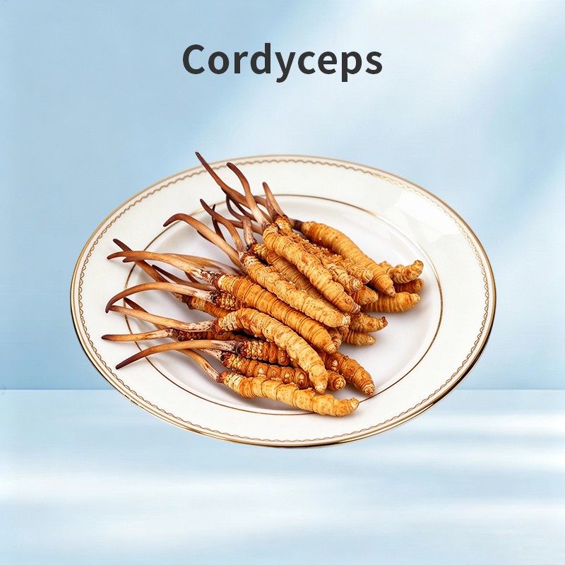 Cordyceps
