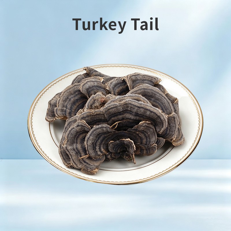 Turkey Tail