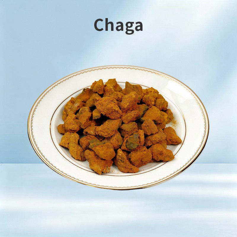 Chaga