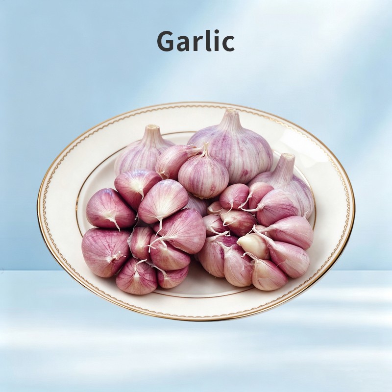 Garlic