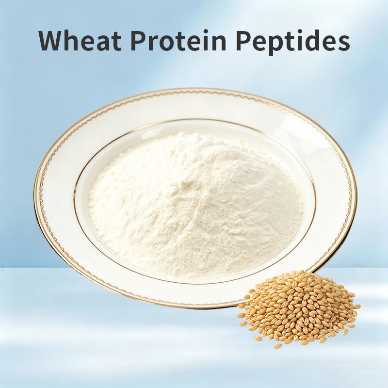 Wheat Protein Peptides