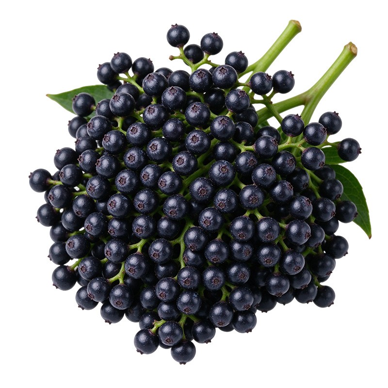 Natural Sambucus nigra Berry Powder