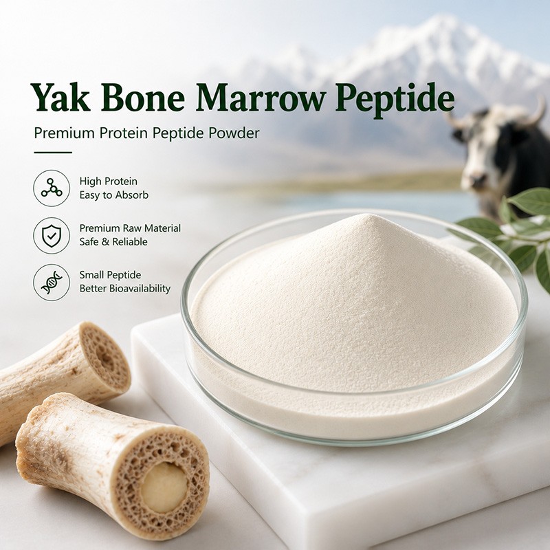 Yak Bone Marrow Peptide