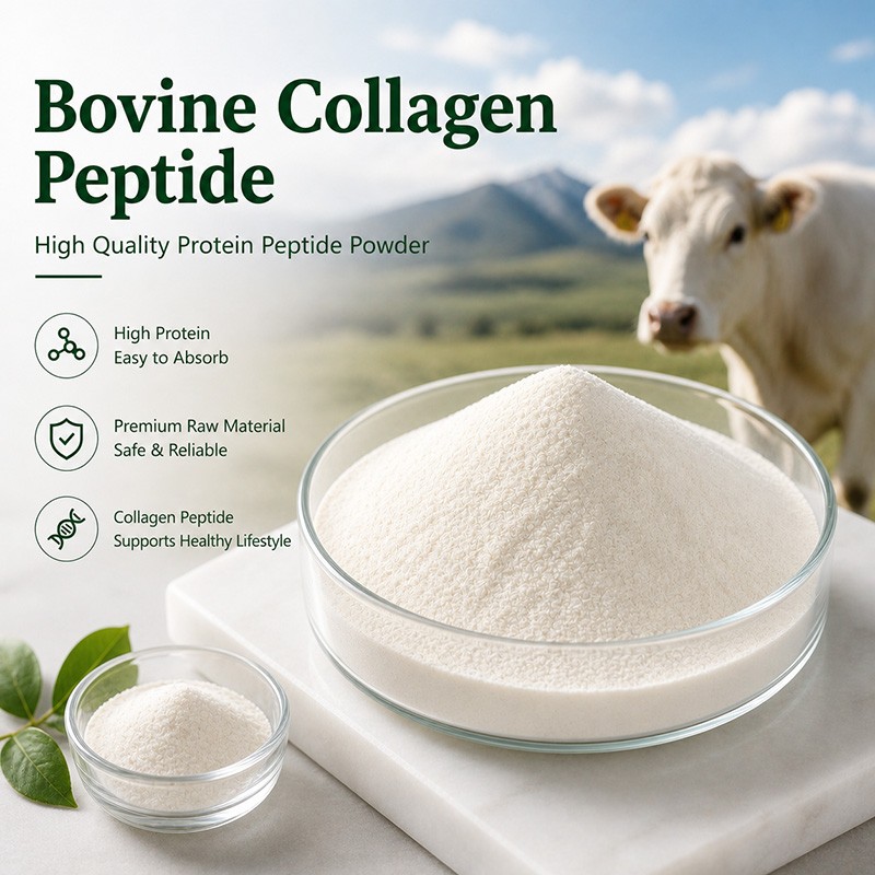 Bovine Collagen Peptide
