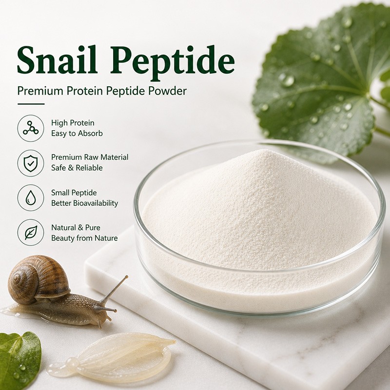 Snail Peptide