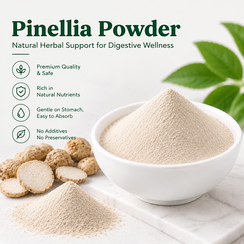 Pinellia Powder